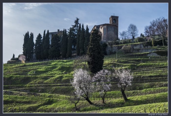 Il panorama del Monte Orfano nei dintorni del Convento dell'Annunciata, foto Giorgio Baioni, www.bsnews.it