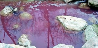 L'acqua si colora di rosso, foto generica